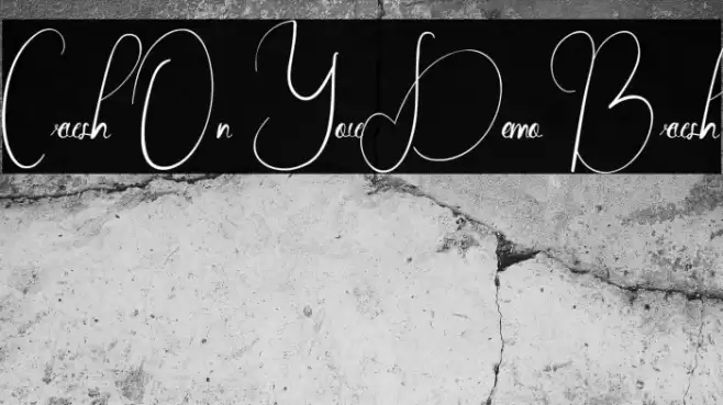 Crush On You Demo Brush Font examples