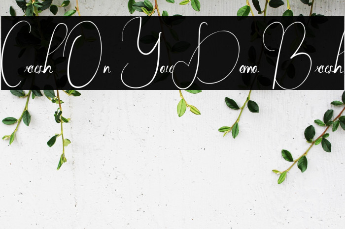 Crush On You Demo Brush Example 2