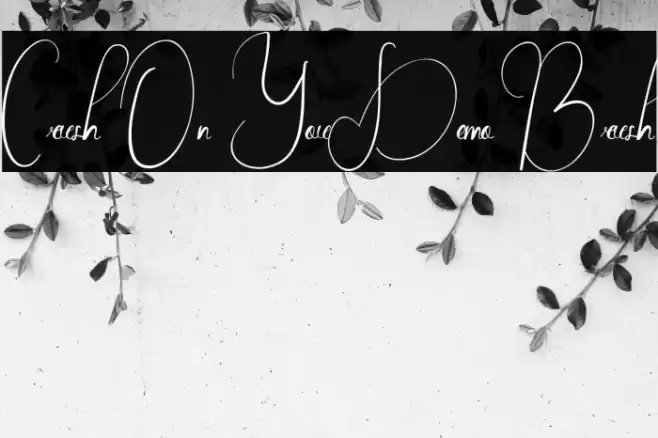 Crush On You Demo Brush Font examples