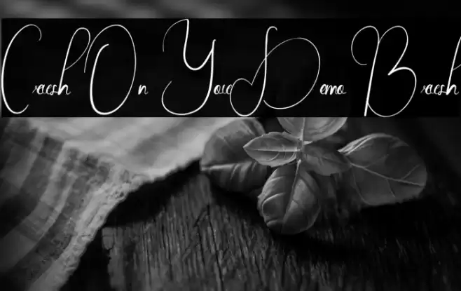 Crush On You Demo Brush Font examples