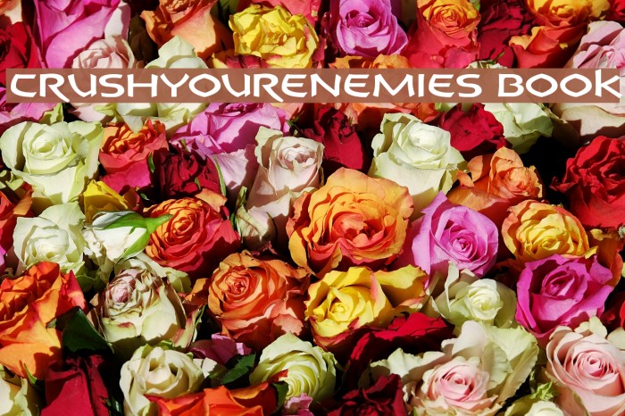 CrushYourEnemies Book Font examples