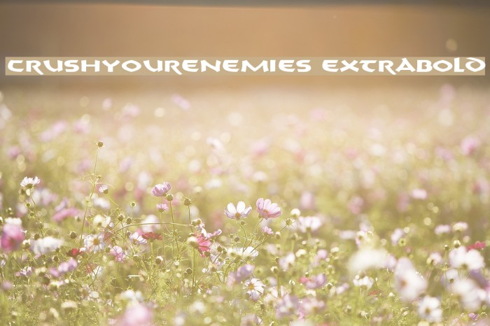 CrushYourEnemies ExtraBold Font examples