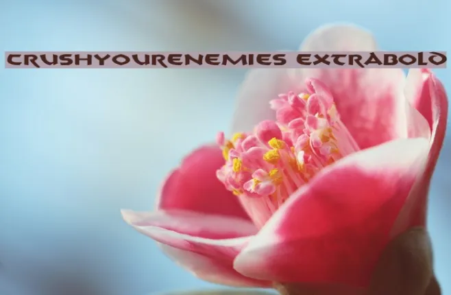 CrushYourEnemies ExtraBold Example 3