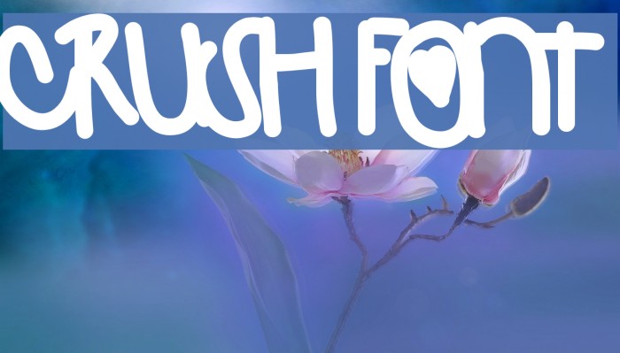 Crush Font examples