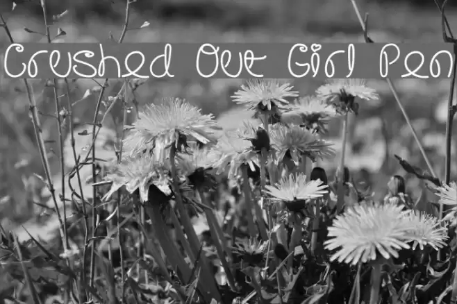 Crushed Out Girl Pen Font examples