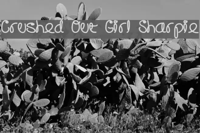 Crushed Out Girl Sharpie Font examples