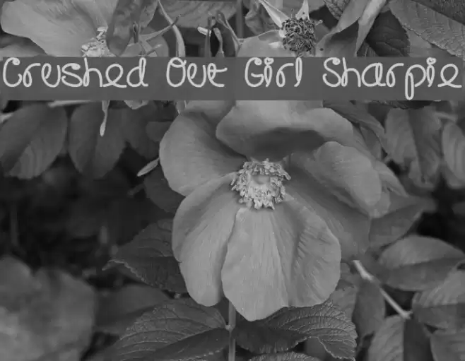 Crushed Out Girl Sharpie Font examples