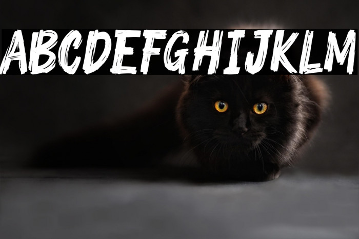 Crushed Stone Example 1