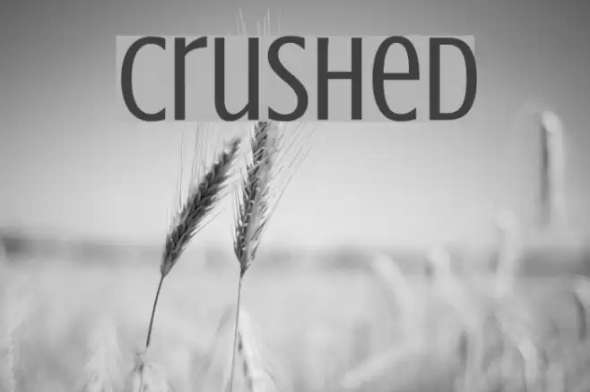 Crushed Font examples