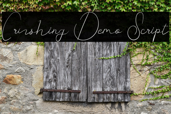 Crushing Demo Script Example 1