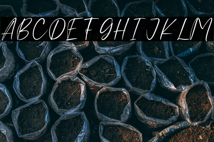 Crushland Personal Use Example 2