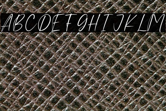 Crushland Personal Use Example 3