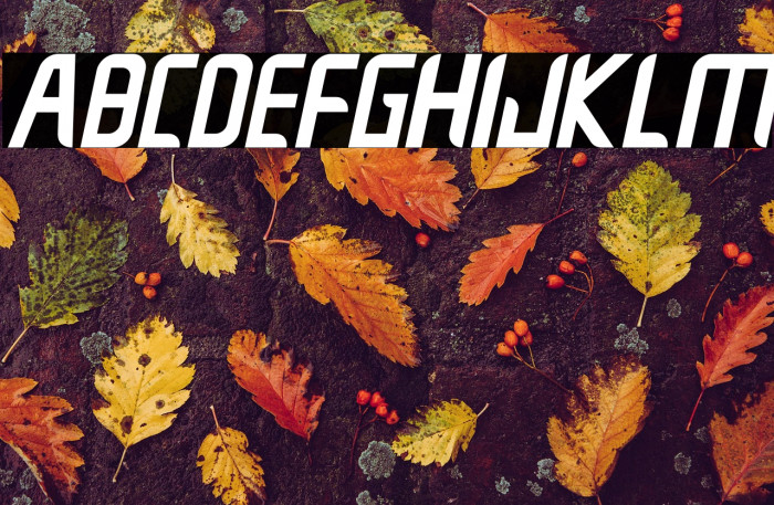 Crushnot Italic Example 2