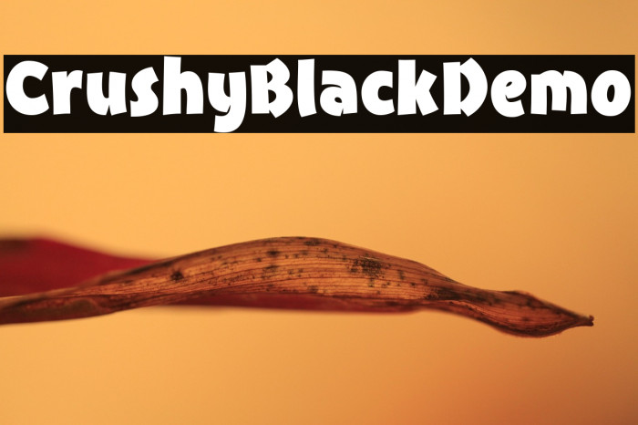 CrushyBlackDemo Example 2
