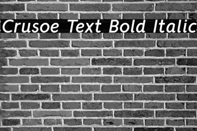 Crusoe Text Bold Italic Шрифта examples