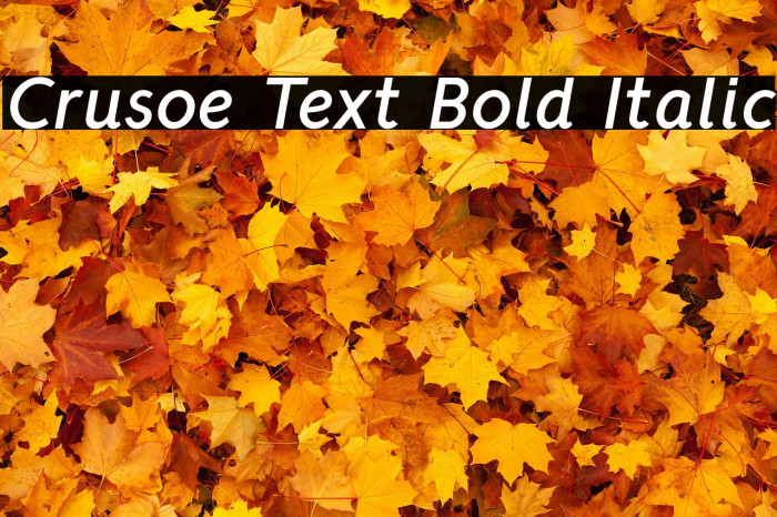 Crusoe Text Bold Italic Font examples