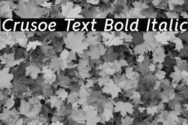 Crusoe Text Bold Italic Шрифта examples