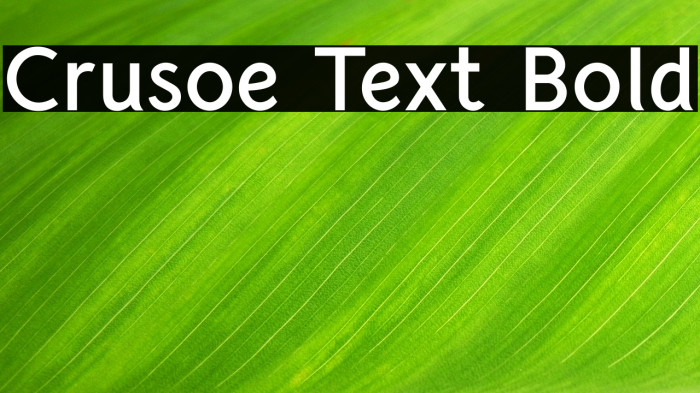 Crusoe Text Bold Font examples