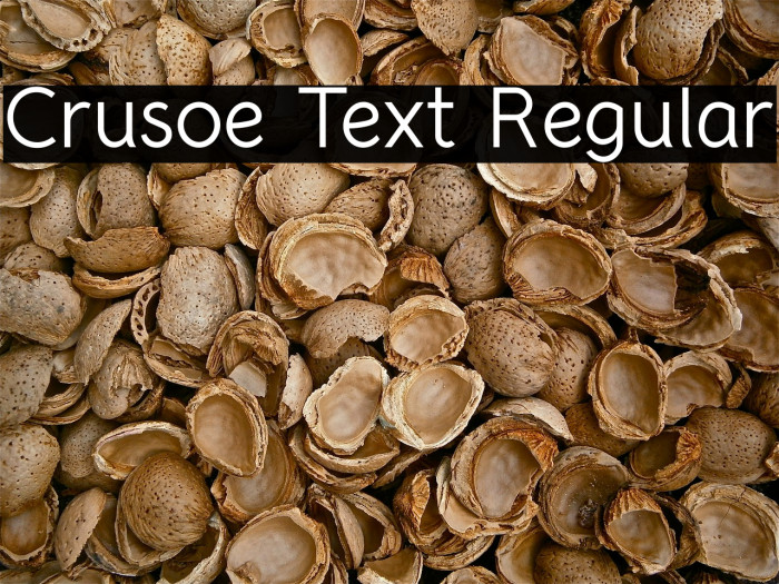 Crusoe Text Regular Font examples