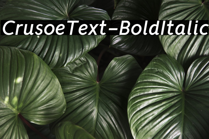 CrusoeText-BoldItalic Font examples