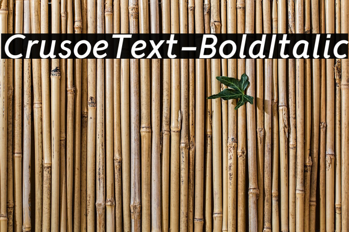 CrusoeText-BoldItalic Font examples