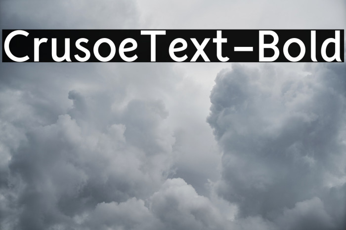 CrusoeText-Bold Font examples