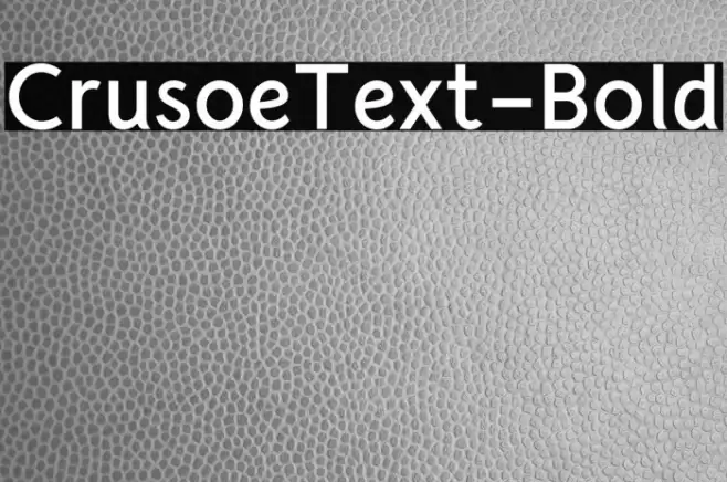 CrusoeText-Bold Polices examples