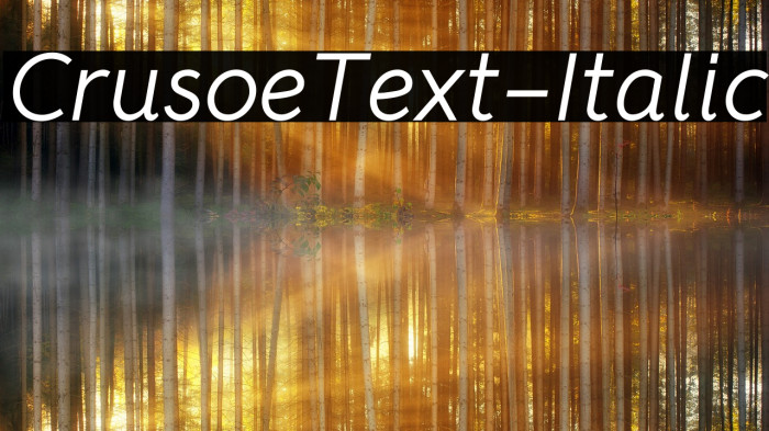 CrusoeText-Italic Font examples