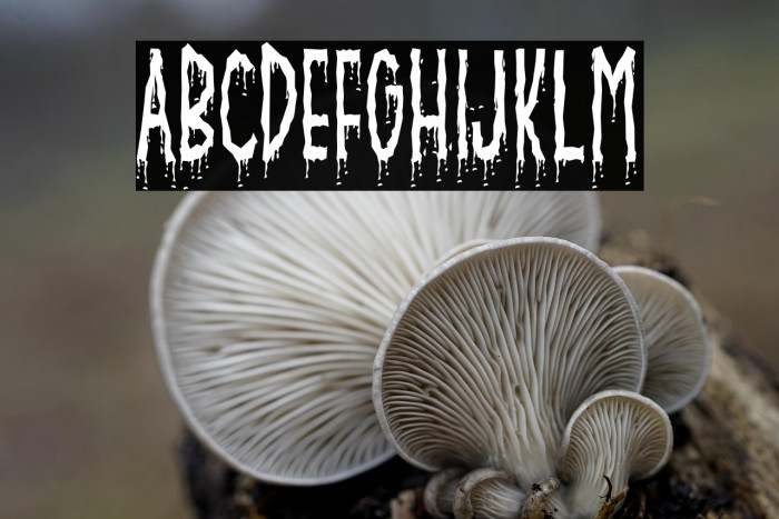 Crusterous Example 1