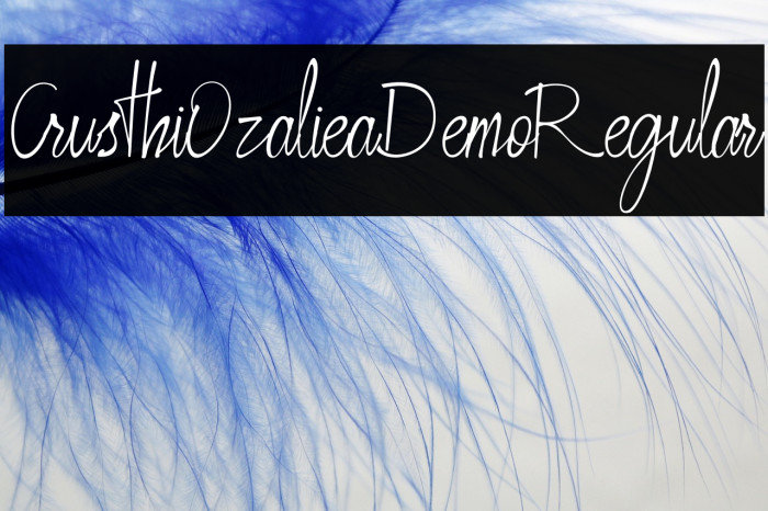 CrusthiOzalieaDemoRegular Example 1