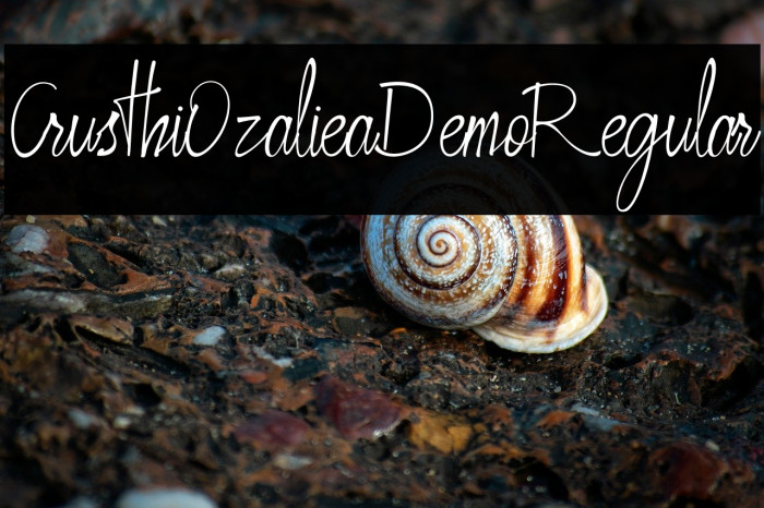 CrusthiOzalieaDemoRegular Example 2