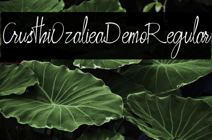 CrusthiOzalieaDemoRegular Example 3