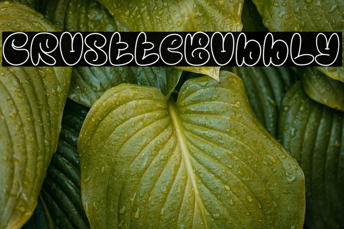 Crustte Bubbly Example 1