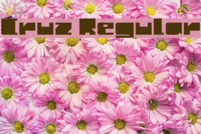 Cruz Regular Example 2