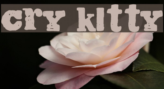 Cry Kitty Font examples