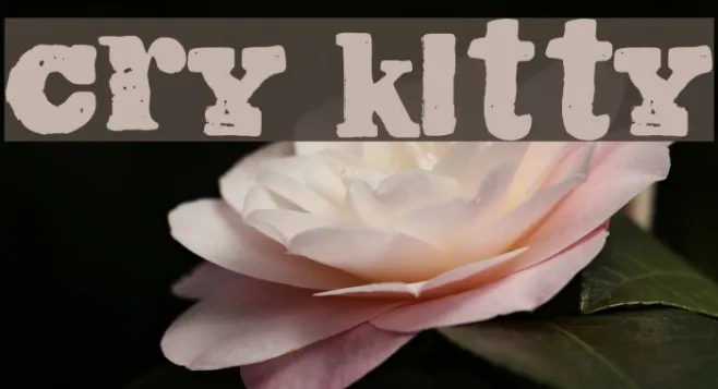 Cry Kitty Example 3