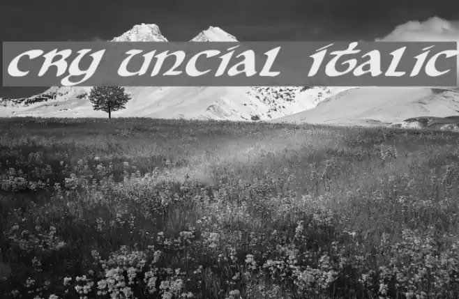 Cry Uncial Italic Font examples