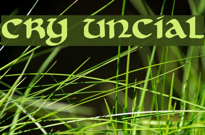 Cry Uncial Font examples