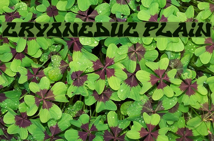 CryOneDUC Plain फ़ॉन्ट examples