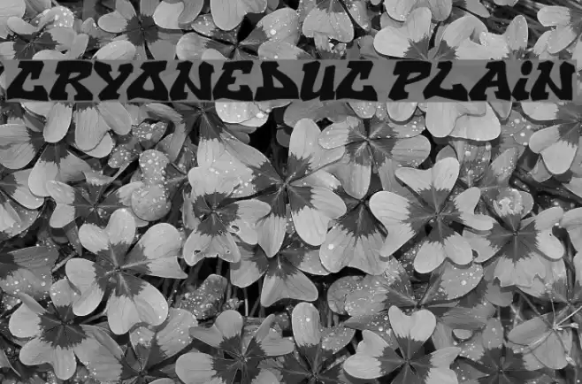 CryOneDUC Plain Font examples