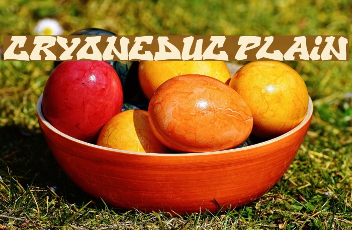CryOneDUC Plain फ़ॉन्ट examples