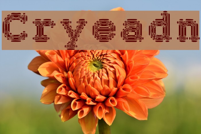 Cryeadn Font examples