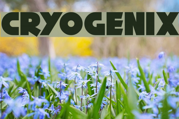 Cryogenix Font examples