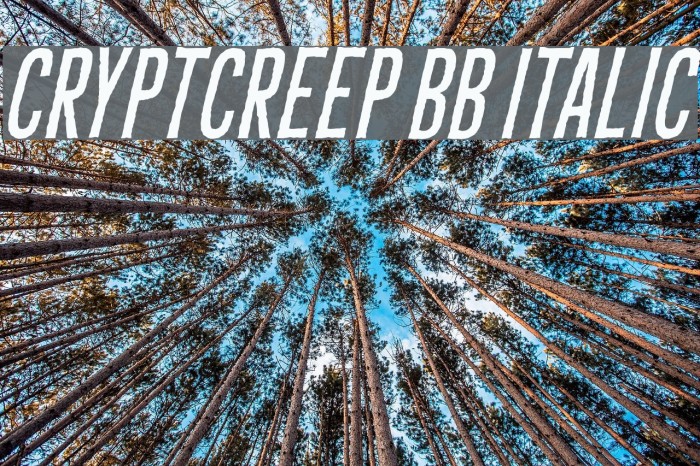 CryptCreep BB Italic Font examples