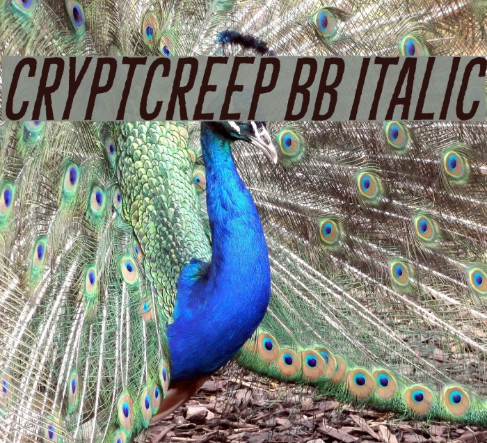 CryptCreep BB Italic Font examples