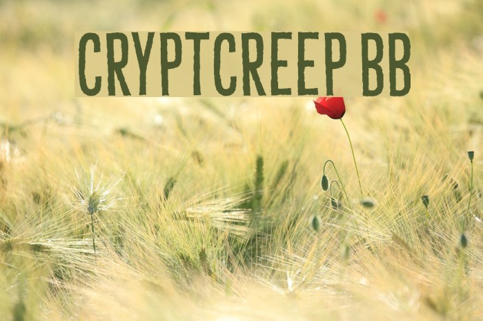 CryptCreep BB Font examples