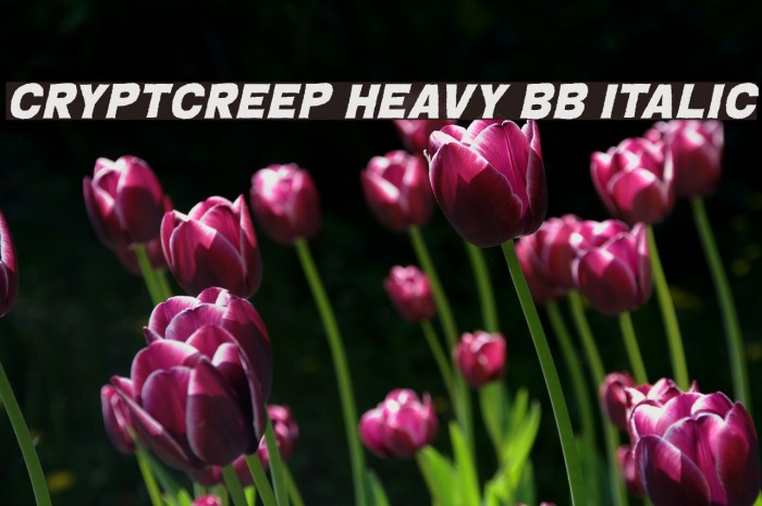CryptCreep Heavy BB Italic لخطوط تنزيل examples