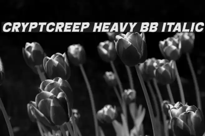 CryptCreep Heavy BB Italic Font examples