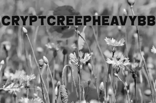 CryptCreepHeavyBB Font examples