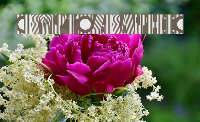 Cryptographic لخطوط تنزيل examples